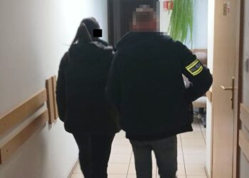 Sprzątała nie tylko domy, ale także pieniądze domowników.