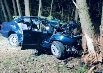 Śmiertelny wypadek w miejscowości Rokitno z udziałem BMW.