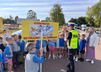 Kierowco! Nie polujemy na zebrach – Promowanie Bezpieczeństwa na Przejściach dla Pieszych w Siedlcach.