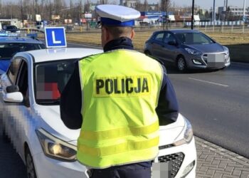 Instruktorka nauki jazdy pod wpływem alkoholu – kontrola lubelskiej drogówki